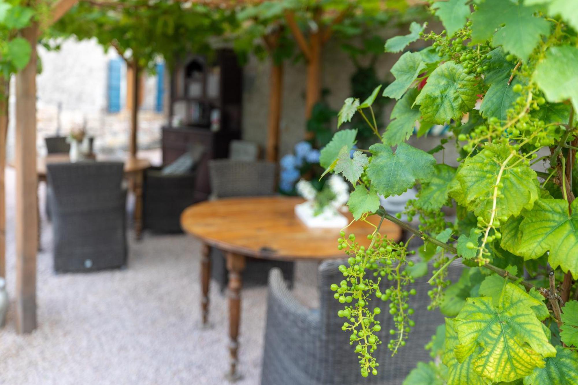 Domaine La Pomme De Pin Bed & Breakfast Louroux-de-Beaune Dış mekan fotoğraf